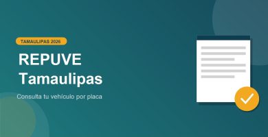 REPUVE Tamaulipas 2026: consulta tu vehiculo por placa