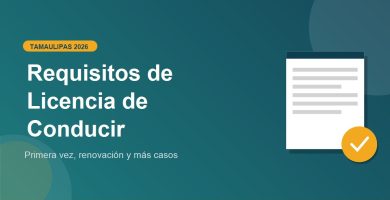 Requisitos de Licencia de Conducir en Tamaulipas 2026