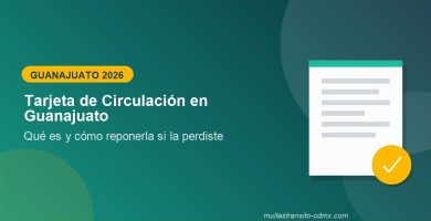 Tarjeta de Circulación en Guanajuato