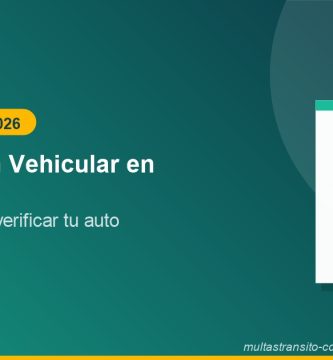 Verificación Vehicular en Irapuato