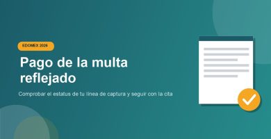 Como saber si ya se reflejo el pago de la multa de verificacion Edomex