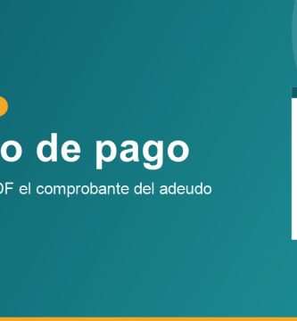 Como descargar recibo pago adeudo vehicular Chihuahua
